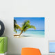 Exotic Palm Trees White