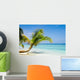 Exotic Palm Trees White