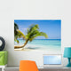 Exotic Palm Trees White