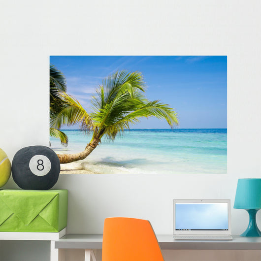 Exotic Palm Trees White