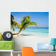 Exotic Palm Trees White
