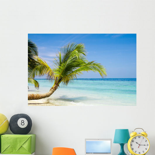 Exotic Palm Trees White