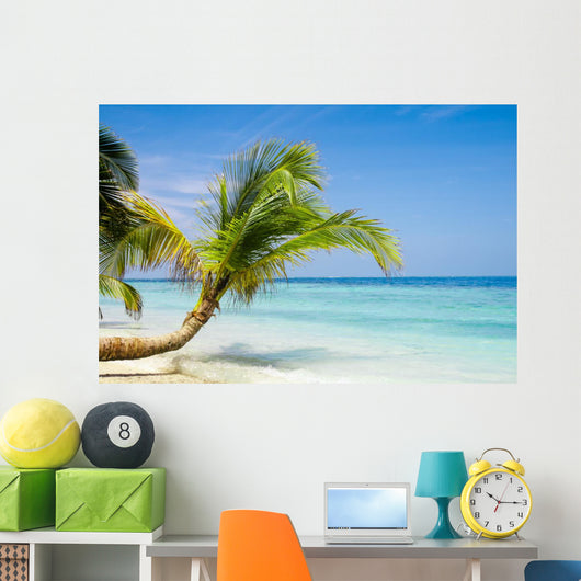 Exotic Palm Trees White