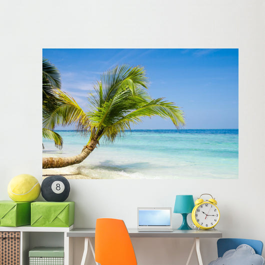 Exotic Palm Trees White