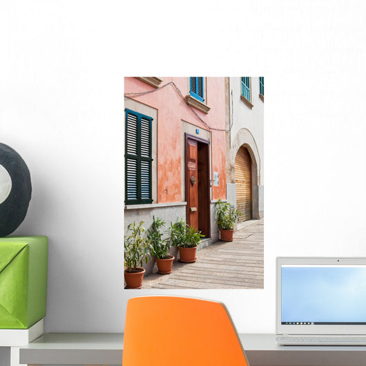 Spanish Street Wall Mural