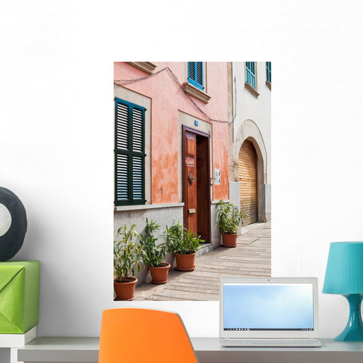 Spanish Street Wall Mural