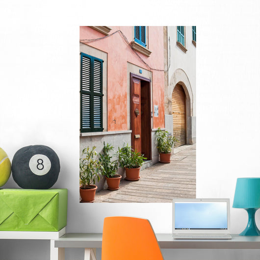Spanish Street Wall Mural