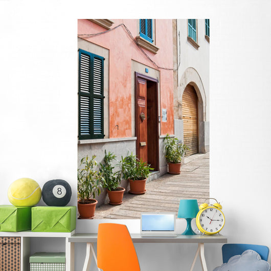 Spanish Street Wall Mural