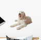 Oscar the Labradoodle Wall Decal