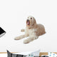 Oscar the Labradoodle Wall Decal
