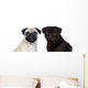 Nice pug couple Wall Decal