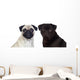 Nice pug couple Wall Decal
