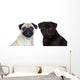 Nice pug couple Wall Decal