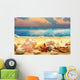 Seashells Sandy Beach