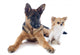 Puppy German Shepherd and Chihuahua Wall Decal
