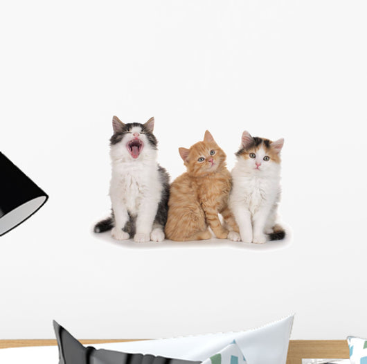 Nebeneinander-three Little Kittens Three