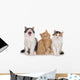 Nebeneinander-three Little Kittens Three