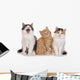 Nebeneinander-three Little Kittens Three