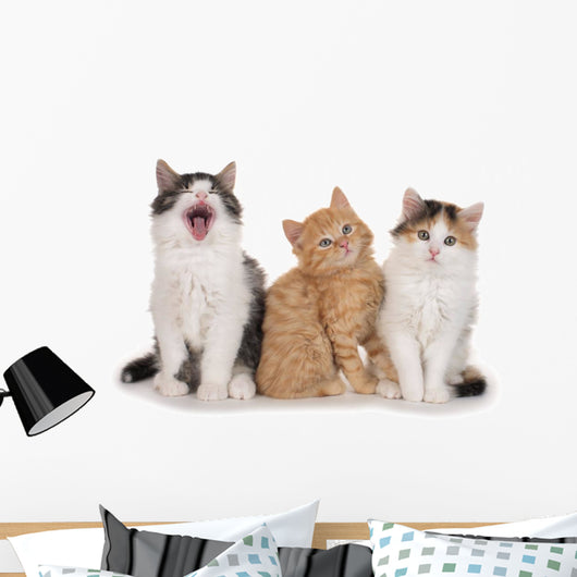 Nebeneinander-three Little Kittens Three