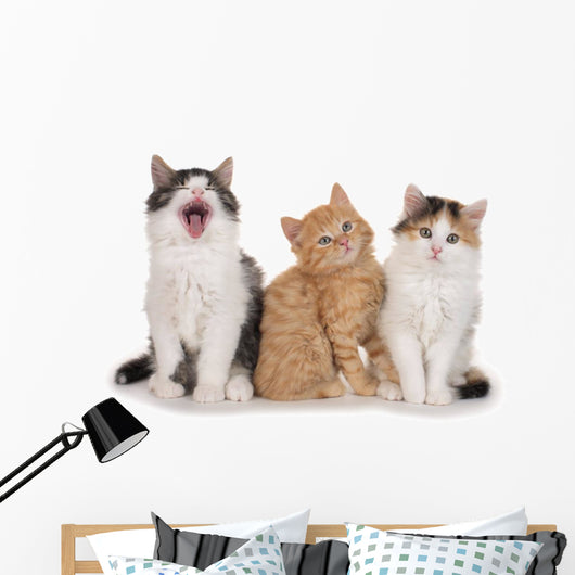 Nebeneinander-three Little Kittens Three