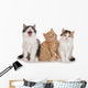 Nebeneinander-three Little Kittens Three