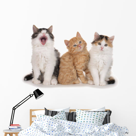 Nebeneinander-three Little Kittens Three