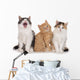 Nebeneinander-three Little Kittens Three