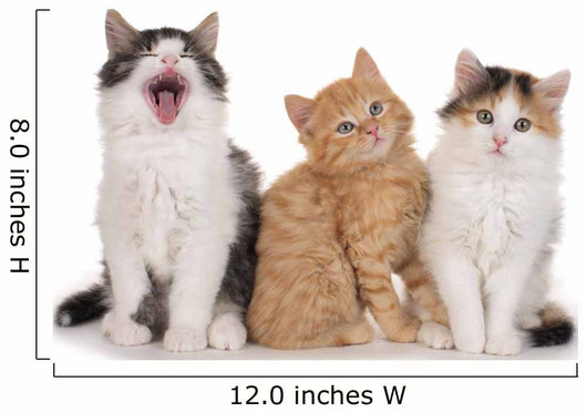 Nebeneinander-three Little Kittens Three