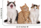 Nebeneinander-three Little Kittens Three