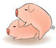 Two Cartoon Pigs Having Sex Wall Decal