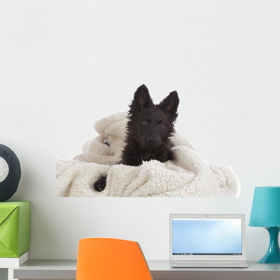 Mudi Puppy Black Plaid Wall Decal shown on a wall