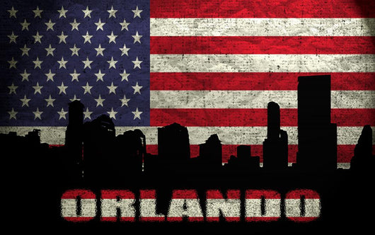 View of Orlando Wall Mural