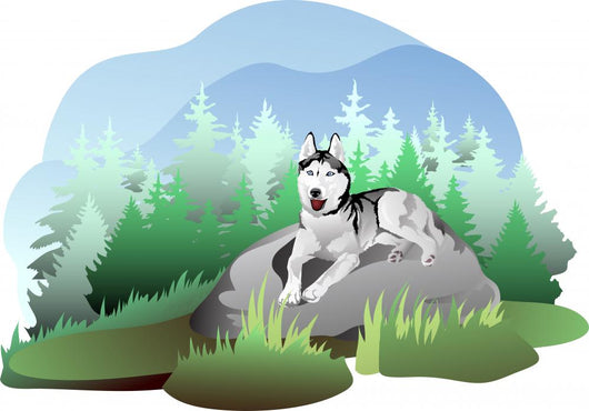 vector drawing of the dog breed Siberian Husky in nature Wall Decal