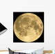 Full moon Wall Mural