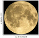 Full moon Wall Mural
