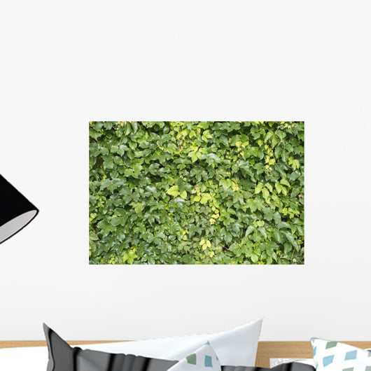 Ivy Leaves White Wall Mural