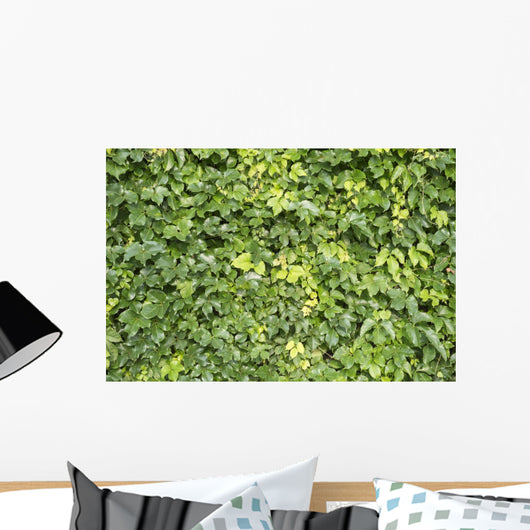Ivy Leaves White Wall Mural