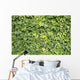 Ivy Leaves White Wall Mural