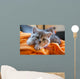 Little Grey Cat Lying