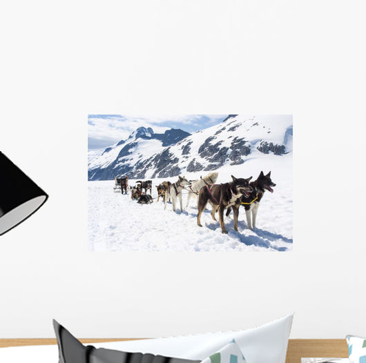 Alaska Dog Sledding Travel Wall Decal