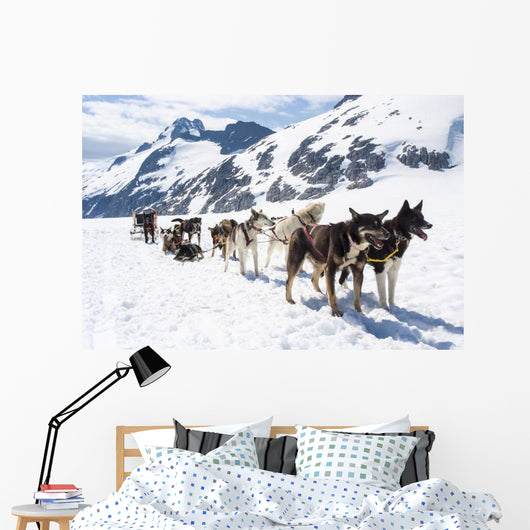 Alaska Dog Sledding Travel Wall Decal
