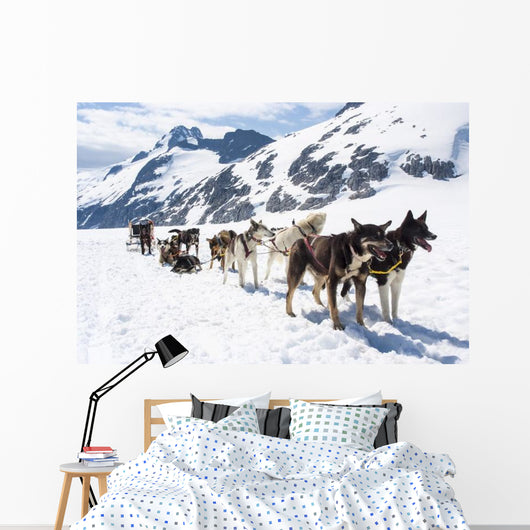 Alaska Dog Sledding Travel Wall Decal