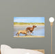 Two dogs english bulldog and rhodesian ridgeback dog running at Wall Mural