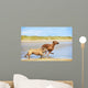 Two dogs english bulldog and rhodesian ridgeback dog running at Wall Mural
