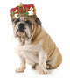 Dog Wearing Crown Wall Decal