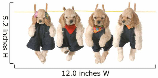 Litter Puppies