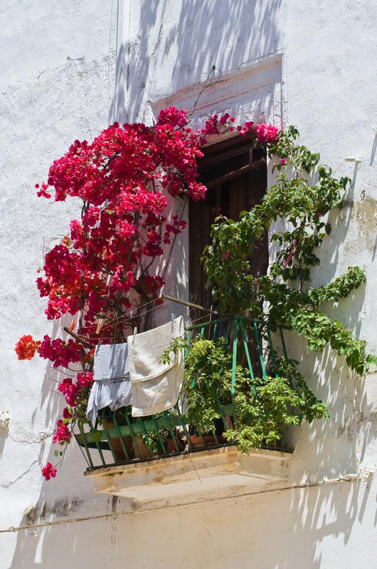 Specchia Puglia Italy Wall Decal