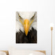 American Bald Eagle Face Wall Decal