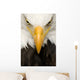 American Bald Eagle Face Wall Decal