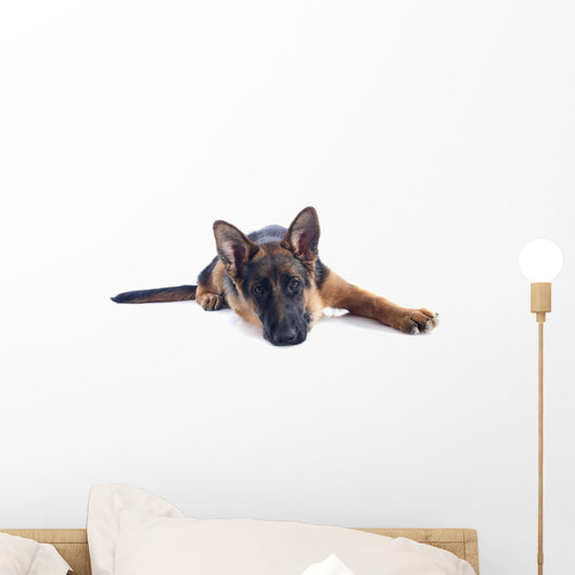 Puppy German Shepherd Wall Decal